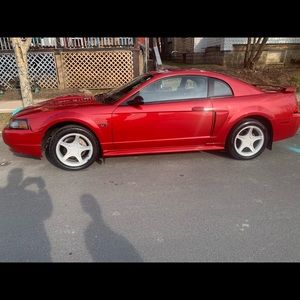 Meet your Posher, Leroy